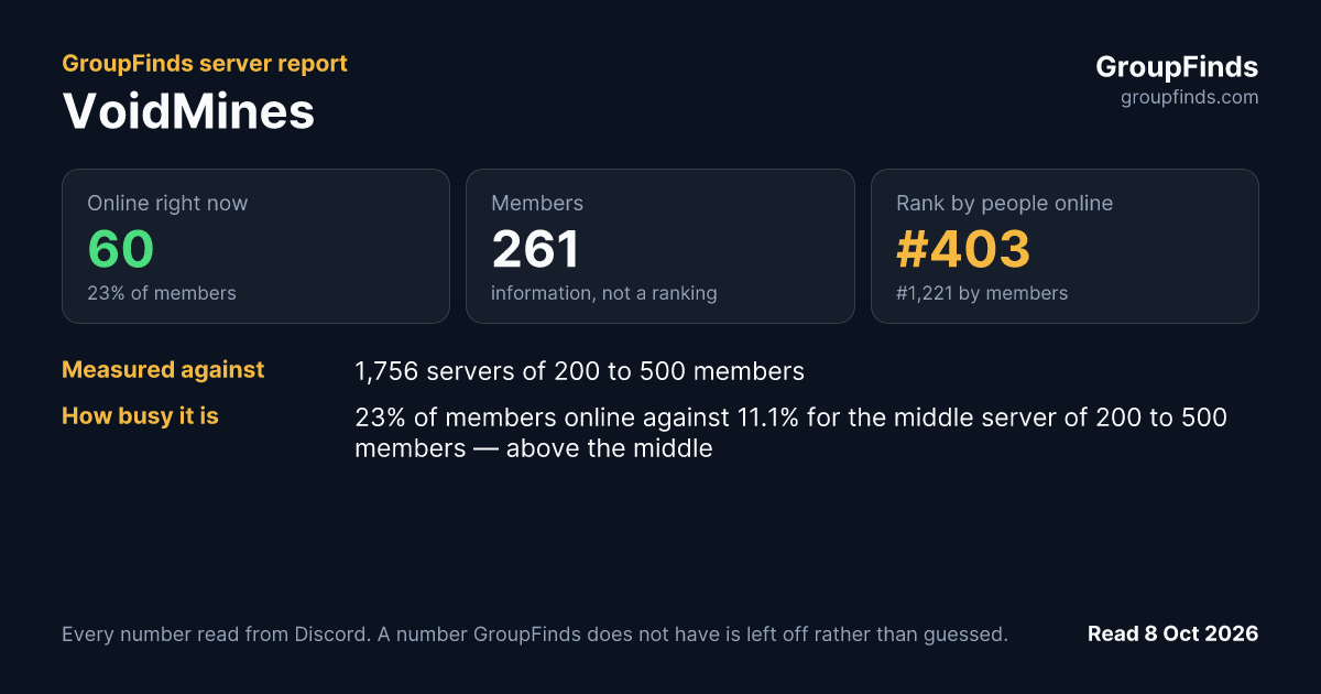 VoidMines's GroupFinds server report