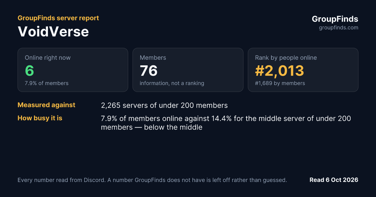 VoidVerse's GroupFinds server report