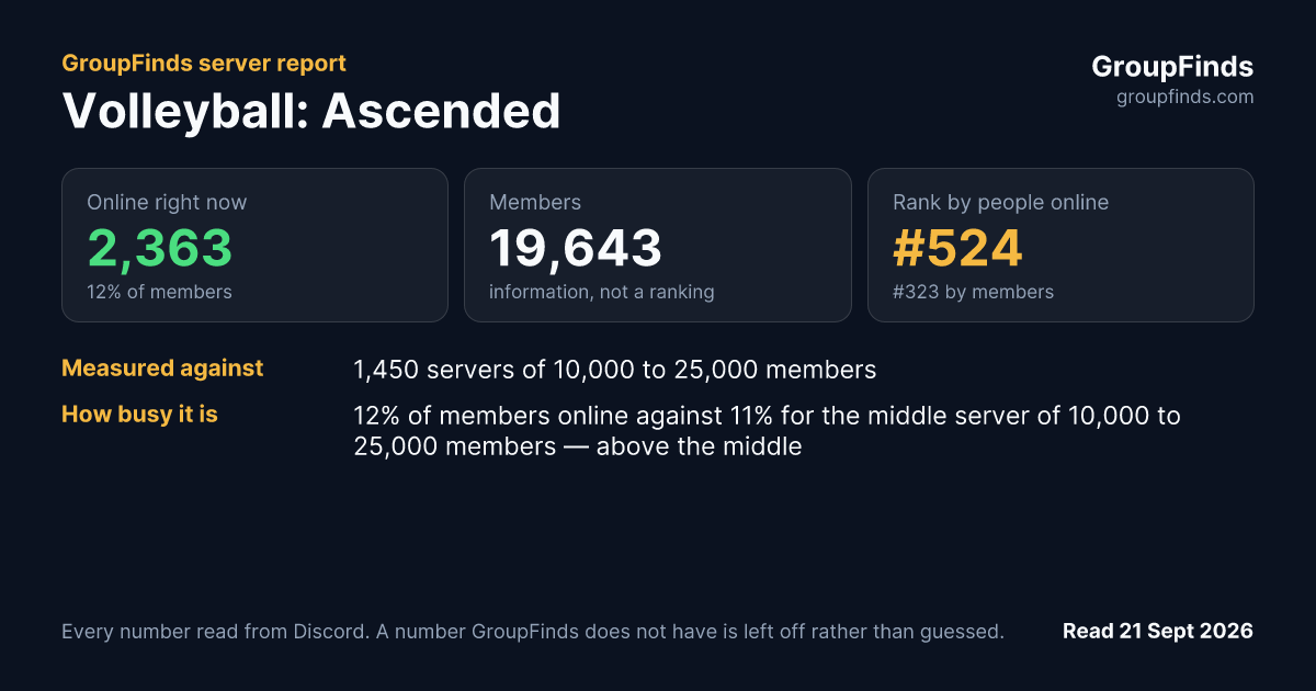 Volleyball: Ascended's GroupFinds server report