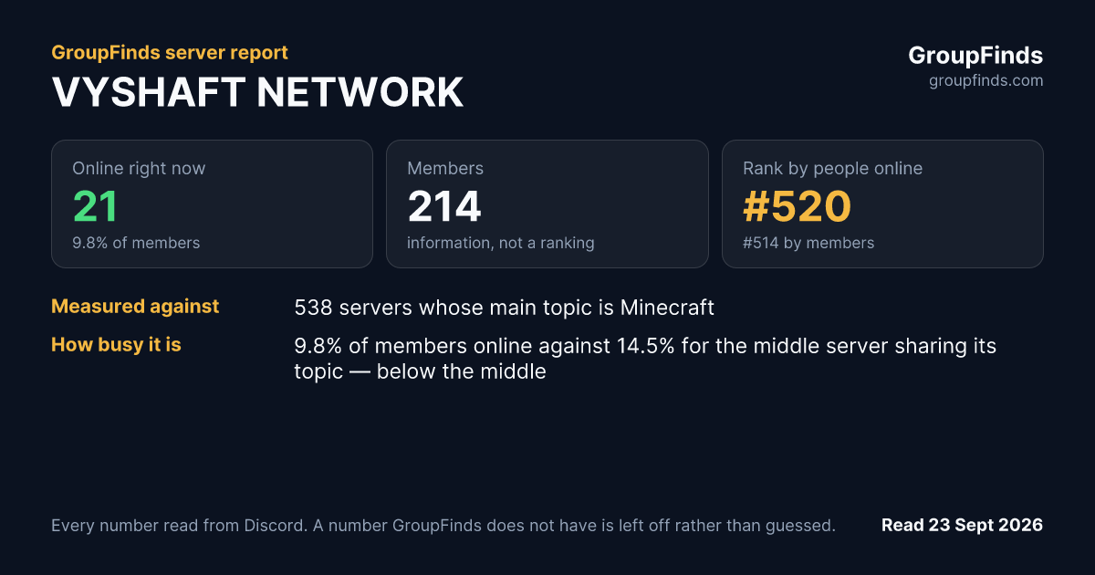 VYSHAFT NETWORK's GroupFinds server report