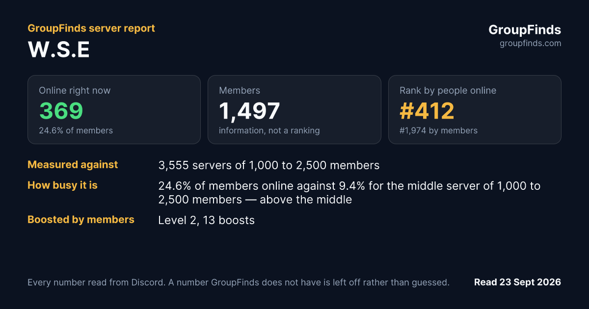 W.S.E's GroupFinds server report