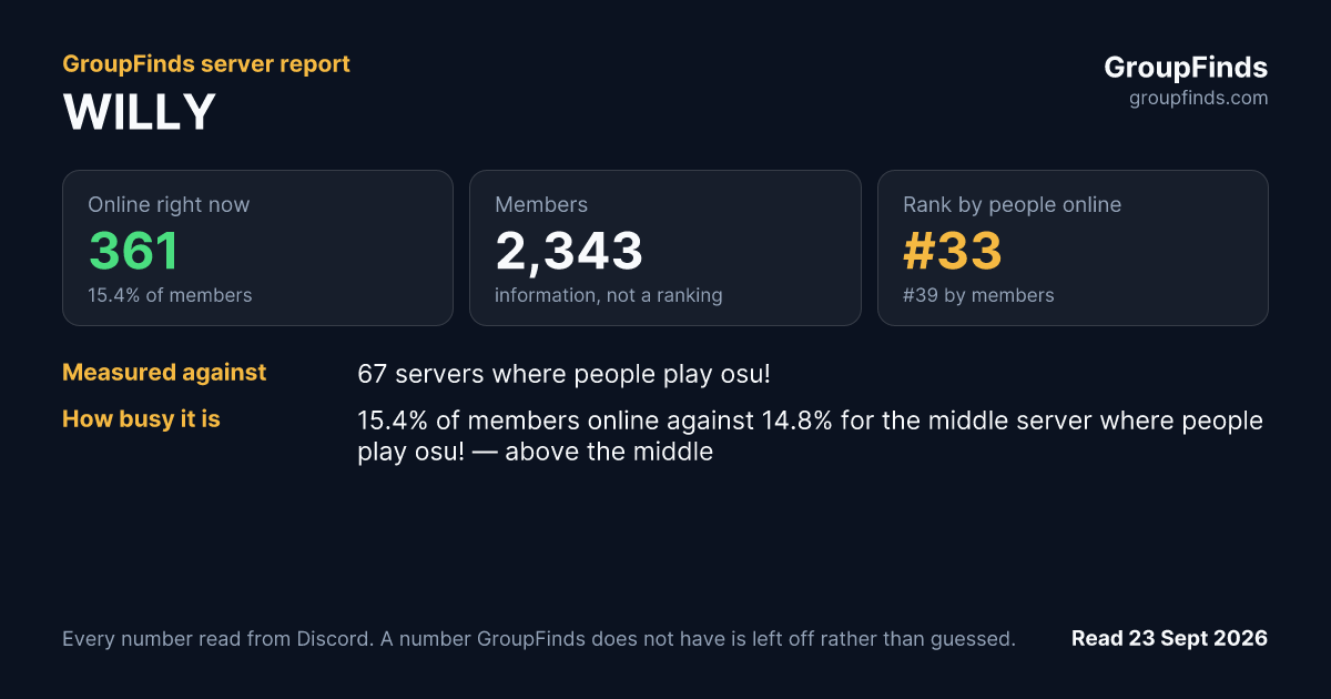 WILLY's GroupFinds server report