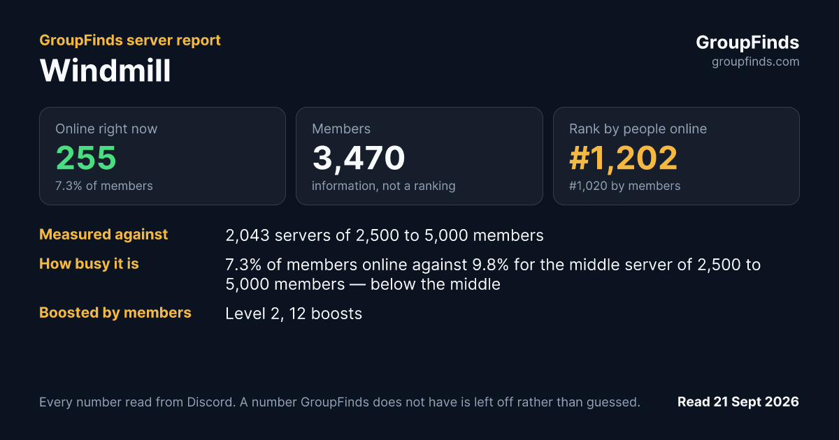 Windmill's GroupFinds server report