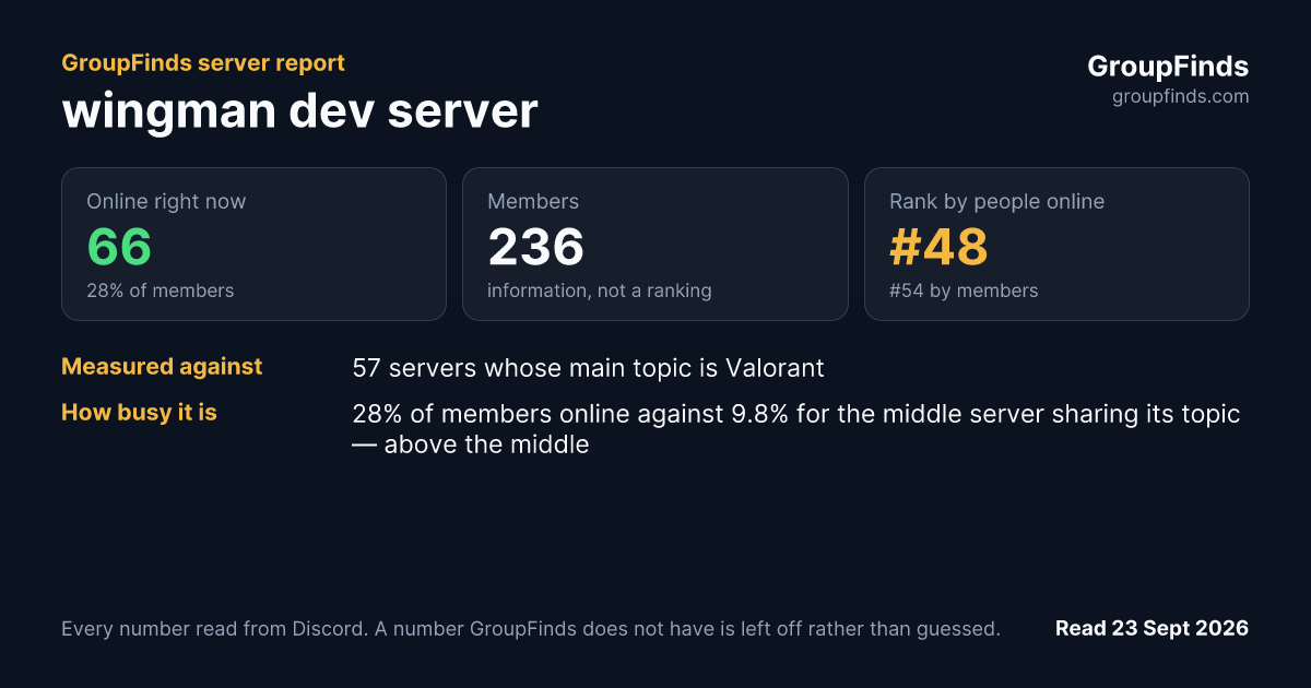 wingman dev server's GroupFinds server report