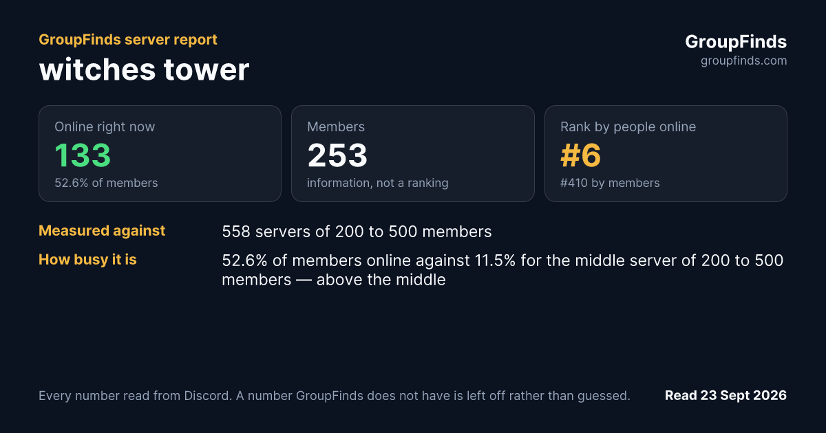 witches tower's GroupFinds server report