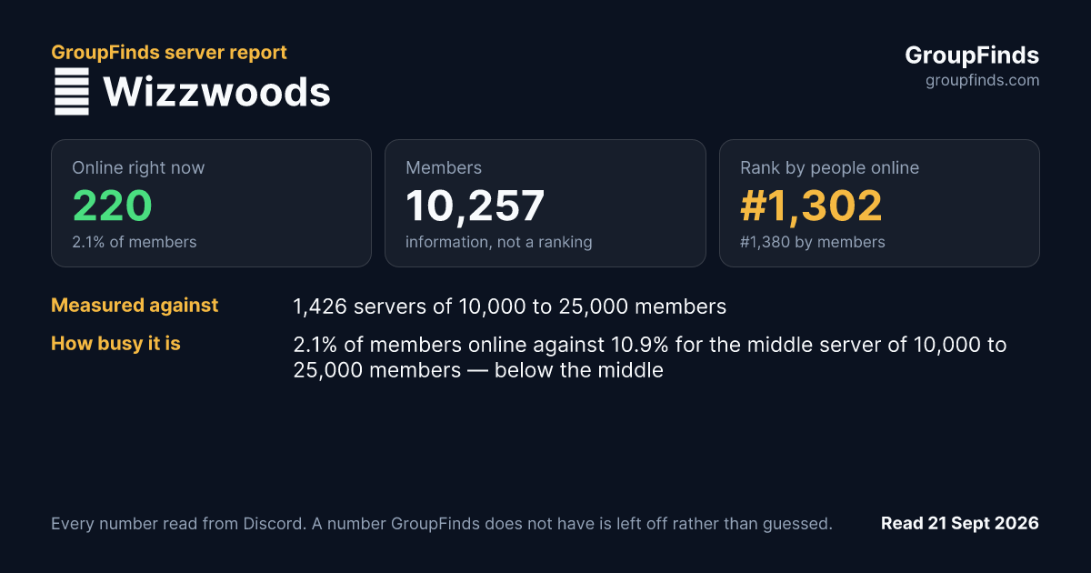 🧙 Wizzwoods's GroupFinds server report