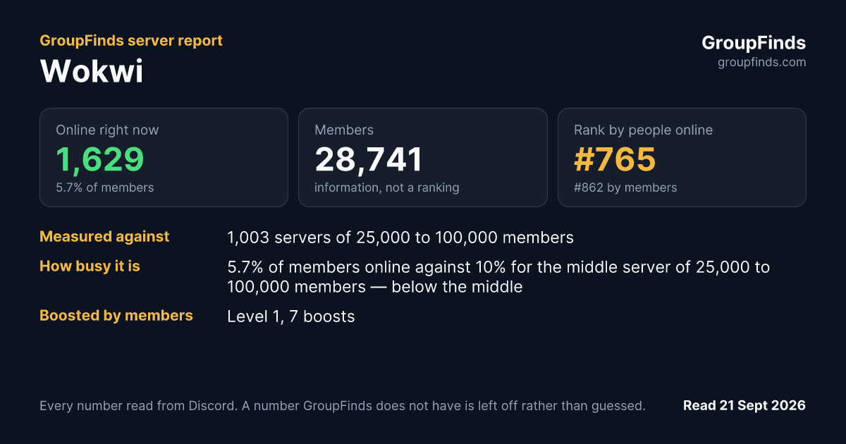 Wokwi's GroupFinds server report