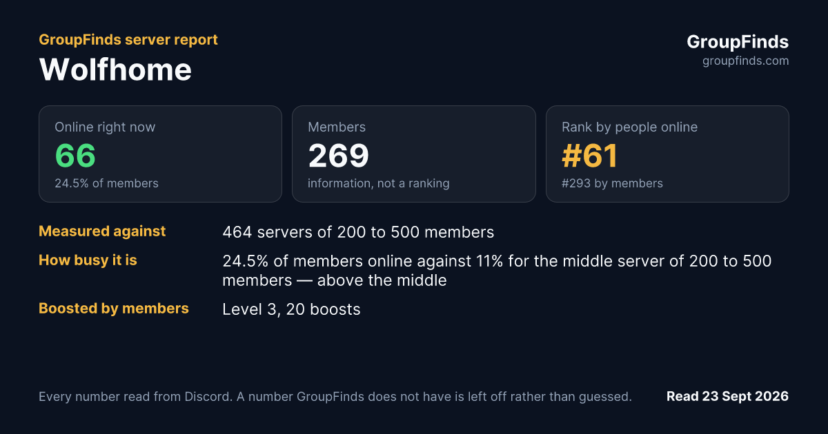 Wolfhome's GroupFinds server report