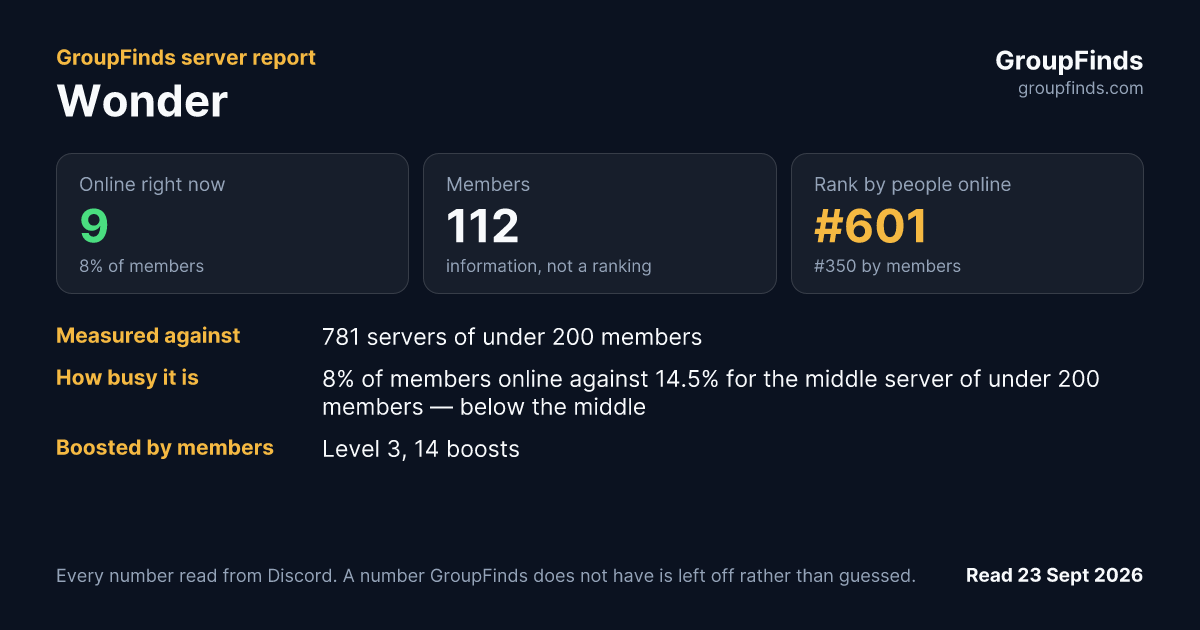 Wonder's GroupFinds server report