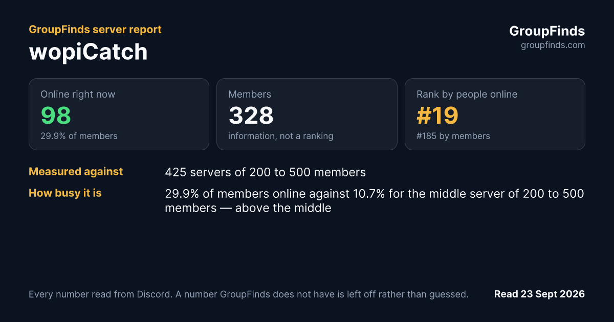 wopiCatch's GroupFinds server report