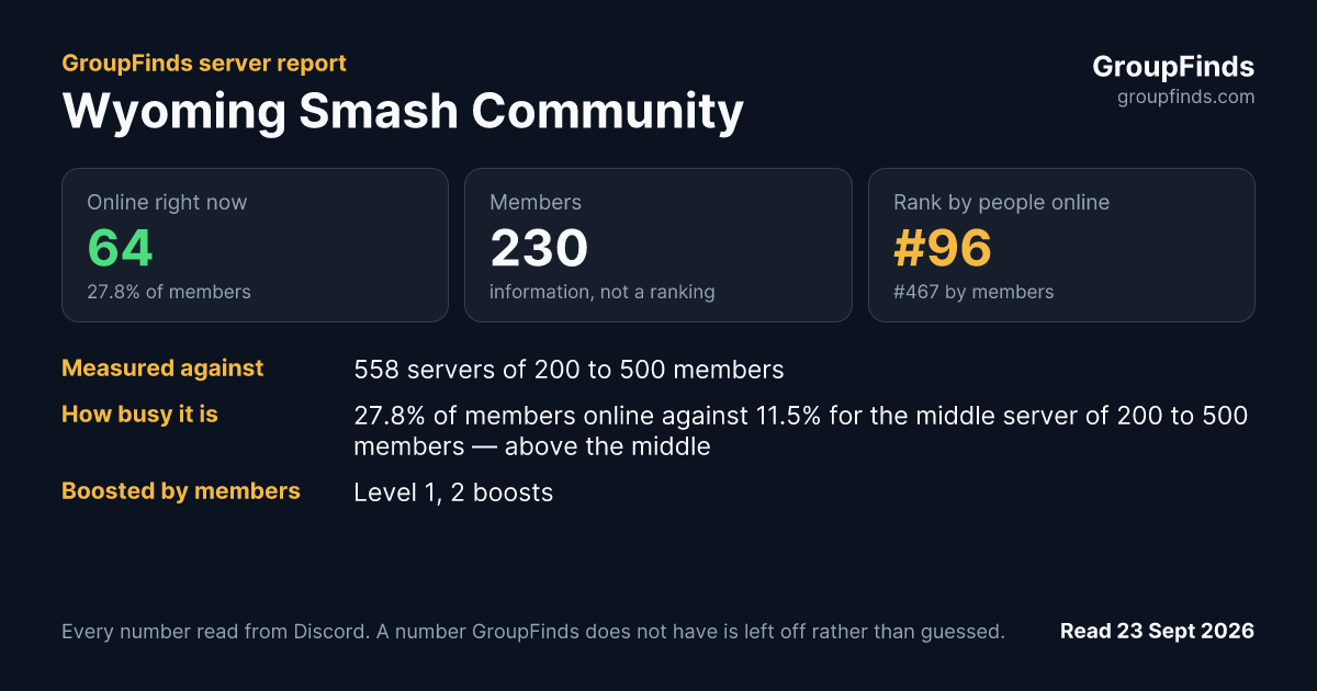 Wyoming Smash Community's GroupFinds server report