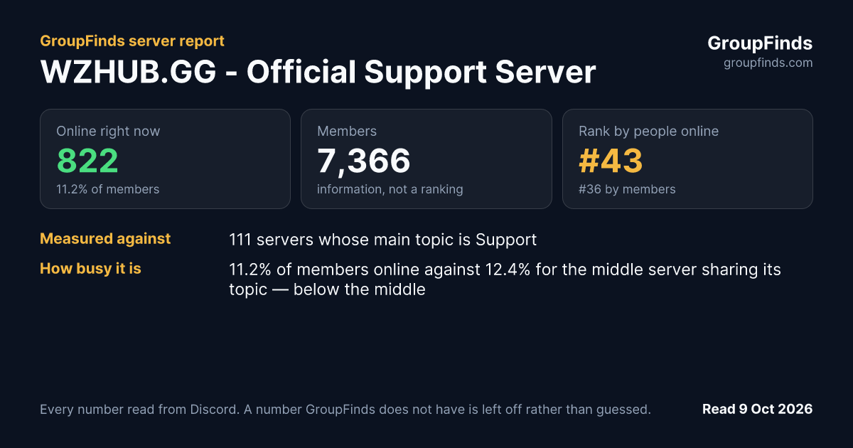 WZHUB.GG - Official Support Server's GroupFinds server report