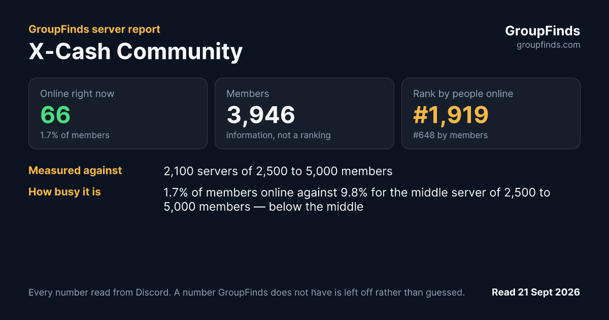 X-Cash Community's GroupFinds server report