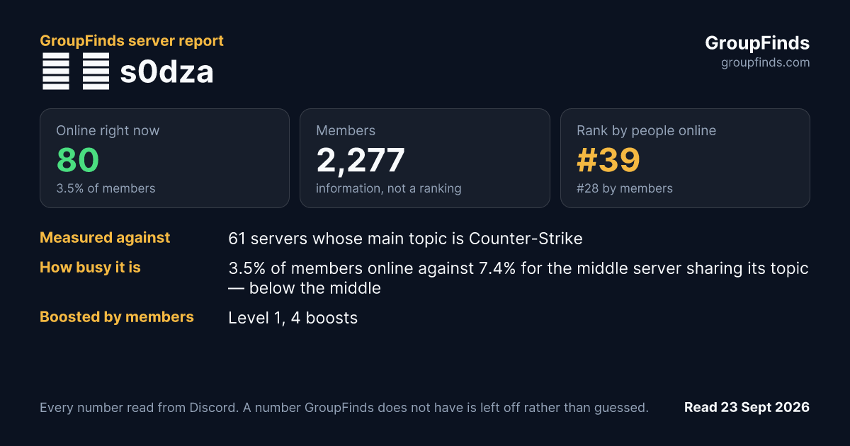 🎮 ˣ s0dza's GroupFinds server report