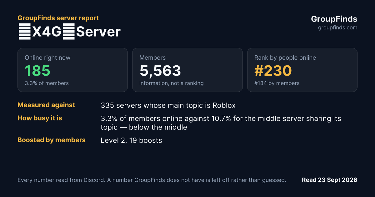 『X4G』Server's GroupFinds server report