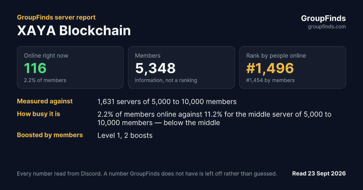 XAYA Blockchain's GroupFinds server report