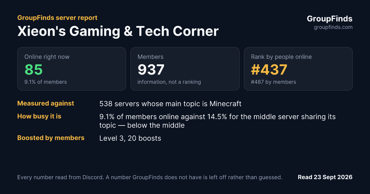 Xieon's Gaming & Tech Corner's GroupFinds server report