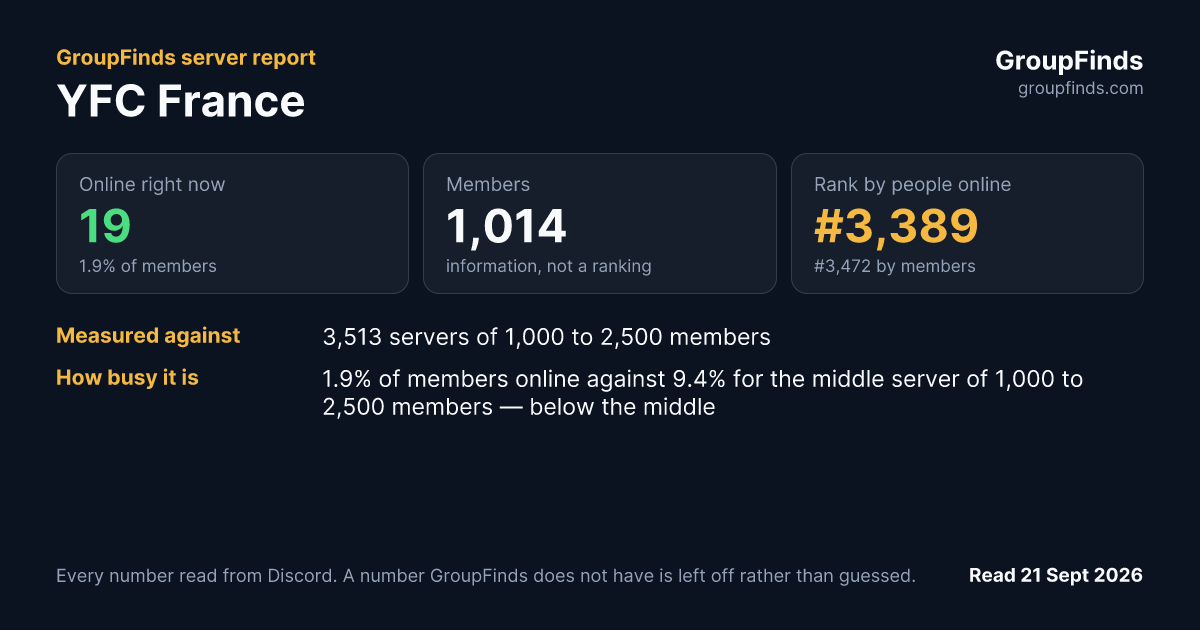 YFC France's GroupFinds server report