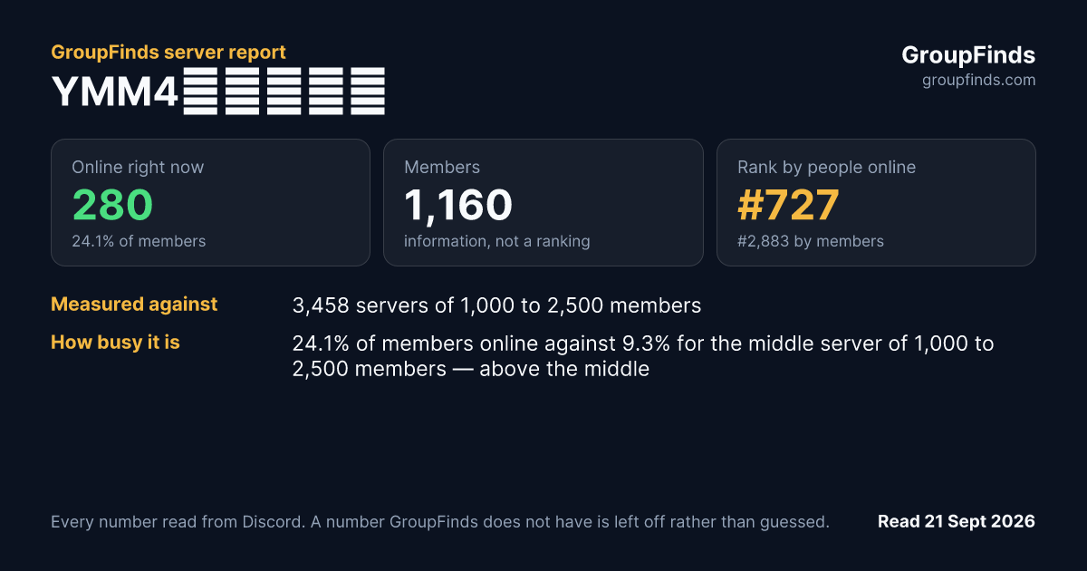 YMM4情報共有鯖's GroupFinds server report