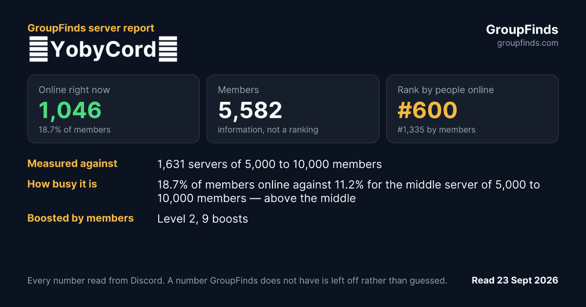 🌟YobyCord🌟's GroupFinds server report