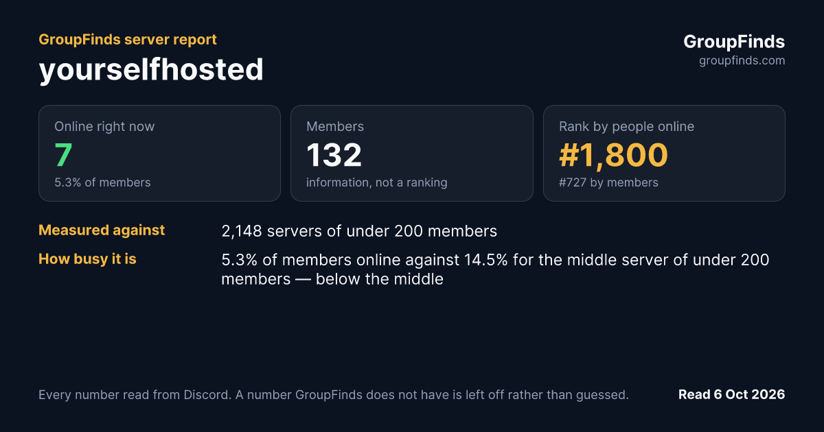 yourselfhosted's GroupFinds server report