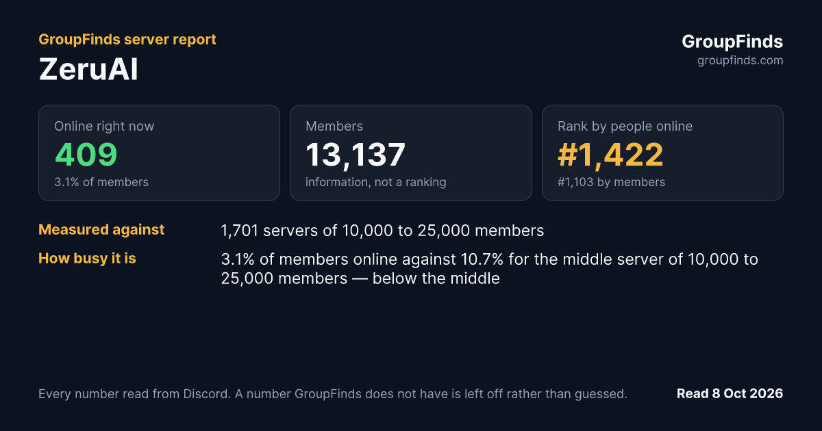 ZeruAI's GroupFinds server report